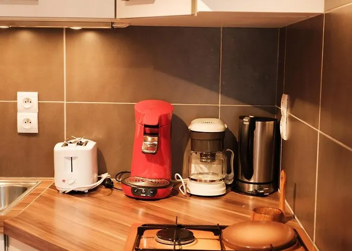 - 4 Pers - Terrasse Au Soleil - Skibus A Proximite 公寓 丰罗穆